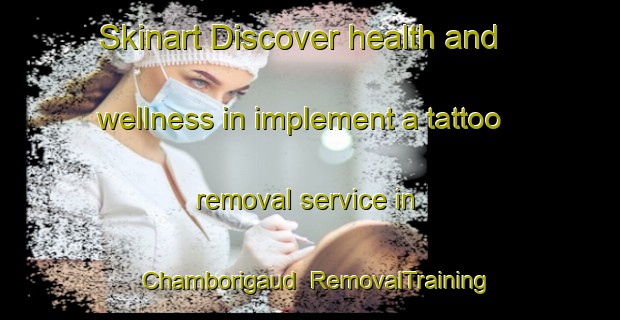 Skinart Discover health and wellness in implement a tattoo removal service in Chamborigaud | RemovalTraining | RemovalClasses | SkinartTraining-France