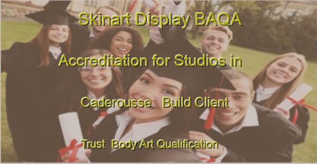 Skinart Display BAQA Accreditation for Studios in Caderousse - Build Client Trust | Body Art Qualification Authority | BAQA-France