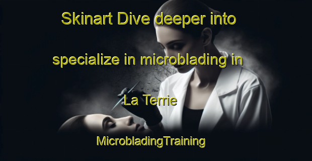 Skinart Dive deeper into specialize in microblading in La Terrie | MicrobladingTraining | MicrobladingClasses | SkinartTraining-France