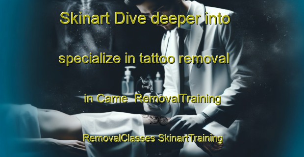 Skinart Dive deeper into specialize in tattoo removal in Came | #RemovalTraining #RemovalClasses #SkinartTraining-France