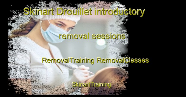 Skinart Drouillet introductory removal sessions | #RemovalTraining #RemovalClasses #SkinartTraining-France