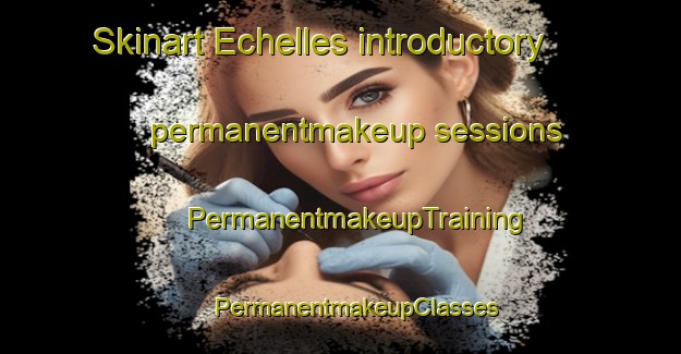 Skinart Echelles introductory permanentmakeup sessions | #PermanentmakeupTraining #PermanentmakeupClasses #SkinartTraining-France