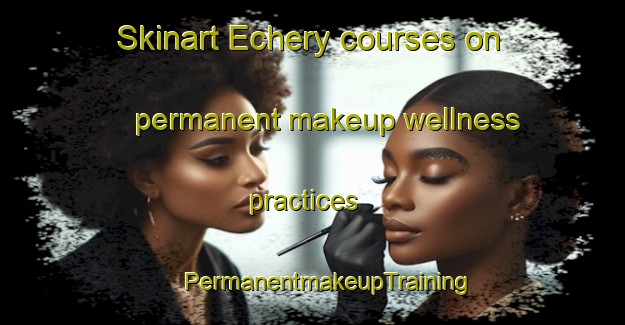 Skinart Echery courses on permanent makeup wellness practices | #PermanentmakeupTraining #PermanentmakeupClasses #SkinartTraining-France