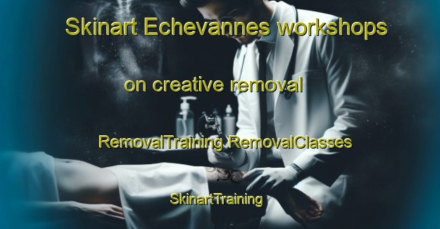 Skinart Echevannes workshops on creative removal | #RemovalTraining #RemovalClasses #SkinartTraining-France