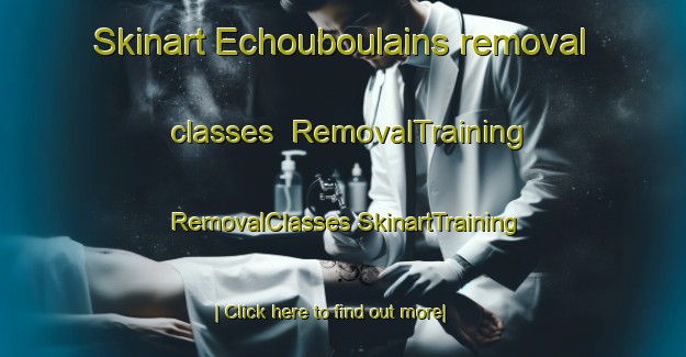 Skinart Echouboulains removal classes | #RemovalTraining #RemovalClasses #SkinartTraining-France