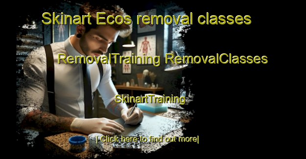 Skinart Ecos removal classes | #RemovalTraining #RemovalClasses #SkinartTraining-France