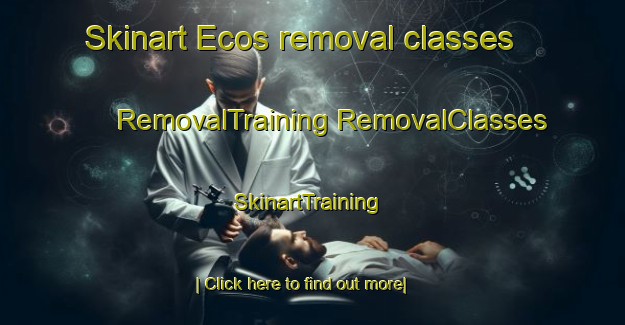 Skinart Ecos removal classes | #RemovalTraining #RemovalClasses #SkinartTraining-France