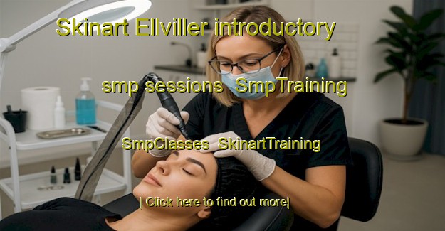 Skinart Ellviller introductory smp sessions | SmpTraining | SmpClasses | SkinartTraining-France