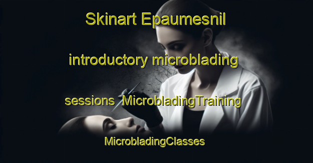 Skinart Epaumesnil introductory microblading sessions | MicrobladingTraining | MicrobladingClasses | SkinartTraining-France