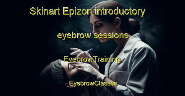 Skinart Epizon introductory eyebrow sessions | EyebrowTraining | EyebrowClasses | SkinartTraining-France
