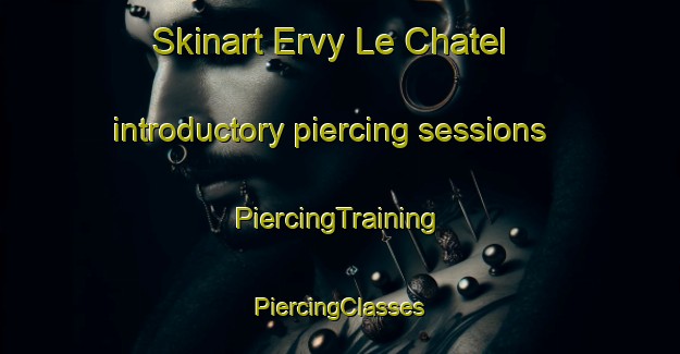 Skinart Ervy Le Chatel introductory piercing sessions | #PiercingTraining #PiercingClasses #SkinartTraining-France