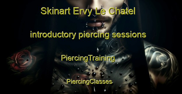 Skinart Ervy Le Chatel introductory piercing sessions | PiercingTraining | PiercingClasses | SkinartTraining-France