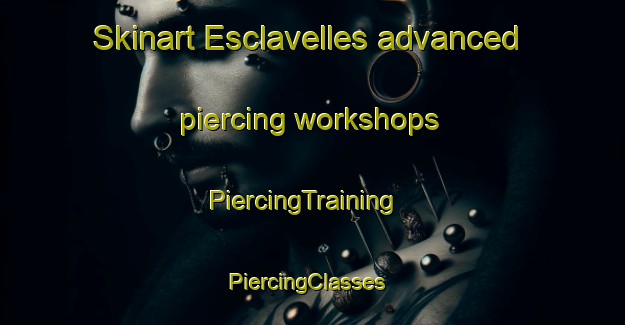 Skinart Esclavelles advanced piercing workshops | PiercingTraining | PiercingClasses | SkinartTraining-France