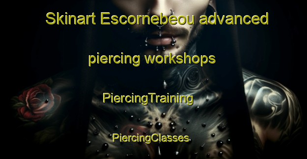 Skinart Escornebeou advanced piercing workshops | PiercingTraining | PiercingClasses | SkinartTraining-France