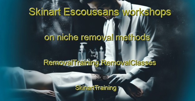 Skinart Escoussans workshops on niche removal methods | #RemovalTraining #RemovalClasses #SkinartTraining-France