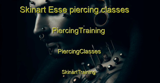 Skinart Esse piercing classes | #PiercingTraining #PiercingClasses #SkinartTraining-France