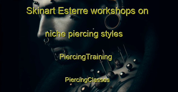 Skinart Esterre workshops on niche piercing styles | PiercingTraining | PiercingClasses | SkinartTraining-France