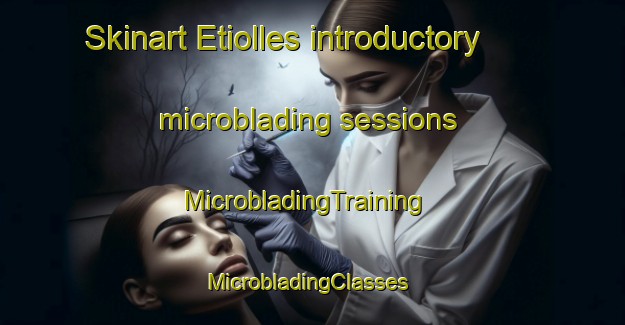 Skinart Etiolles introductory microblading sessions | MicrobladingTraining | MicrobladingClasses | SkinartTraining-France