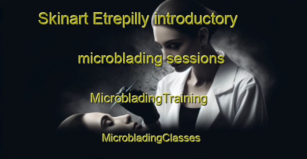 Skinart Etrepilly introductory microblading sessions | MicrobladingTraining | MicrobladingClasses | SkinartTraining-France