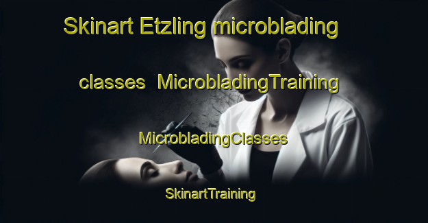 Skinart Etzling microblading classes | #MicrobladingTraining #MicrobladingClasses #SkinartTraining-France