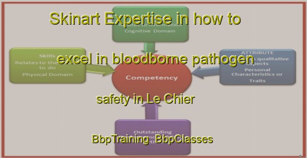 Skinart Expertise in how to excel in bloodborne pathogen safety in Le Chier | BbpTraining | BbpClasses | SkinartTraining-France