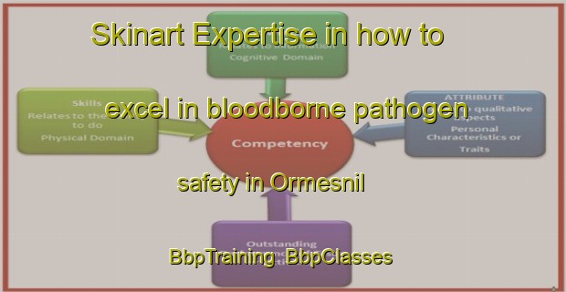 Skinart Expertise in how to excel in bloodborne pathogen safety in Ormesnil | BbpTraining | BbpClasses | SkinartTraining-France