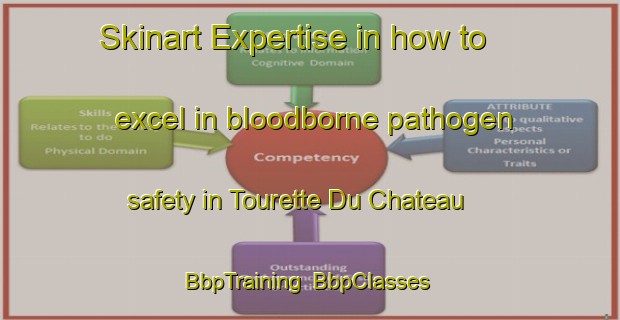 Skinart Expertise in how to excel in bloodborne pathogen safety in Tourette Du Chateau | BbpTraining | BbpClasses | SkinartTraining-France