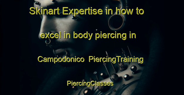 Skinart Expertise in how to excel in body piercing in Campodonico | PiercingTraining | PiercingClasses | SkinartTraining-France