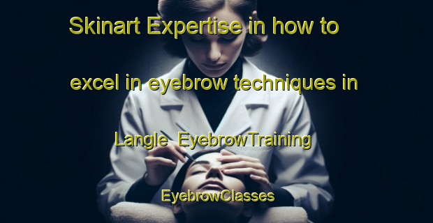Skinart Expertise in how to excel in eyebrow techniques in Langle | EyebrowTraining | EyebrowClasses | SkinartTraining-France