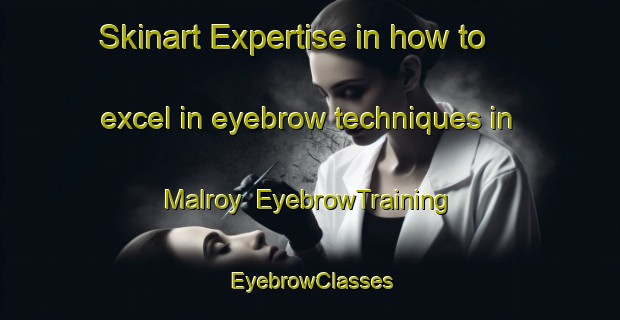 Skinart Expertise in how to excel in eyebrow techniques in Malroy | EyebrowTraining | EyebrowClasses | SkinartTraining-France
