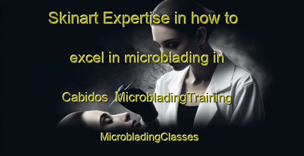 Skinart Expertise in how to excel in microblading in Cabidos | MicrobladingTraining | MicrobladingClasses | SkinartTraining-France