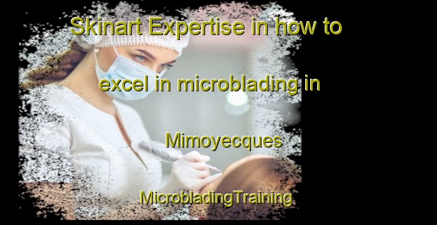 Skinart Expertise in how to excel in microblading in Mimoyecques | #MicrobladingTraining #MicrobladingClasses #SkinartTraining-France