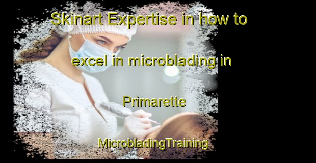 Skinart Expertise in how to excel in microblading in Primarette | MicrobladingTraining | MicrobladingClasses | SkinartTraining-France