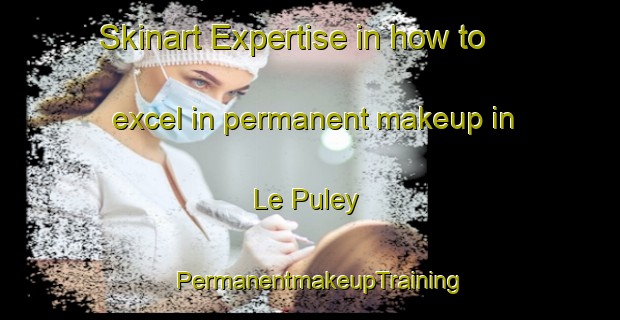 Skinart Expertise in how to excel in permanent makeup in Le Puley | PermanentmakeupTraining | PermanentmakeupClasses | SkinartTraining-France