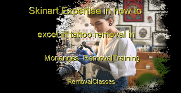 Skinart Expertise in how to excel in tattoo removal in Monanges | RemovalTraining | RemovalClasses | SkinartTraining-France