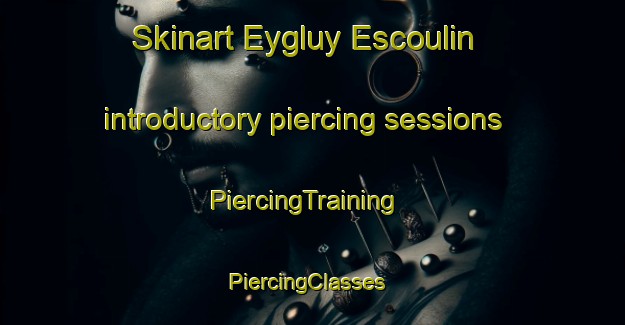 Skinart Eygluy Escoulin introductory piercing sessions | PiercingTraining | PiercingClasses | SkinartTraining-France