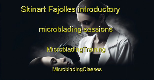 Skinart Fajolles introductory microblading sessions | #MicrobladingTraining #MicrobladingClasses #SkinartTraining-France