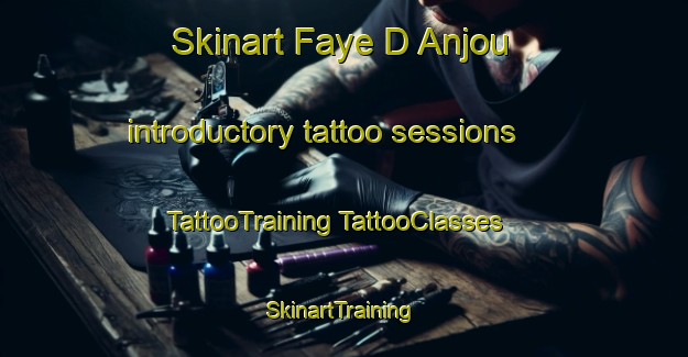 Skinart Faye D Anjou introductory tattoo sessions | #TattooTraining #TattooClasses #SkinartTraining-France