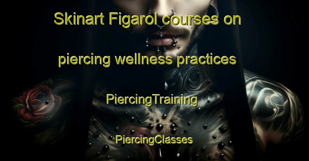 Skinart Figarol courses on piercing wellness practices | #PiercingTraining #PiercingClasses #SkinartTraining-France