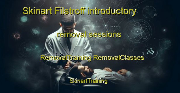 Skinart Filstroff introductory removal sessions | #RemovalTraining #RemovalClasses #SkinartTraining-France