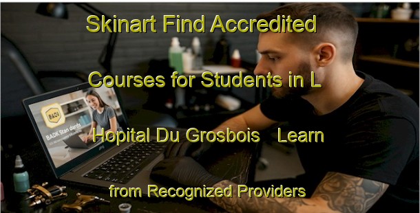 Skinart Find Accredited Courses for Students in L Hopital Du Grosbois - Learn from Recognized Providers | Body Art Qualification Authority | BAQA-France