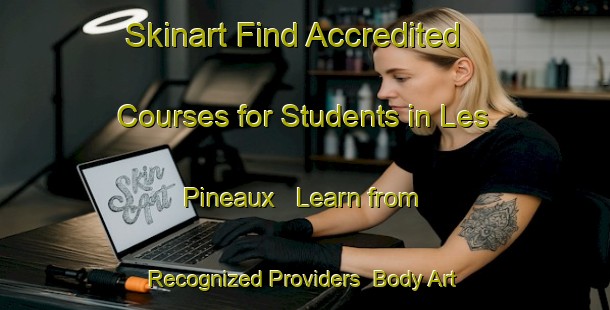 Skinart Find Accredited Courses for Students in Les Pineaux - Learn from Recognized Providers | Body Art Qualification Authority | BAQA-France