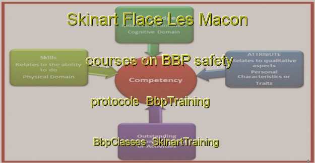 Skinart Flace Les Macon courses on BBP safety protocols | BbpTraining | BbpClasses | SkinartTraining-France