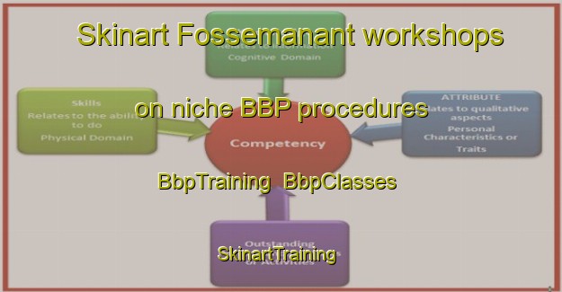 Skinart Fossemanant workshops on niche BBP procedures | BbpTraining | BbpClasses | SkinartTraining-France