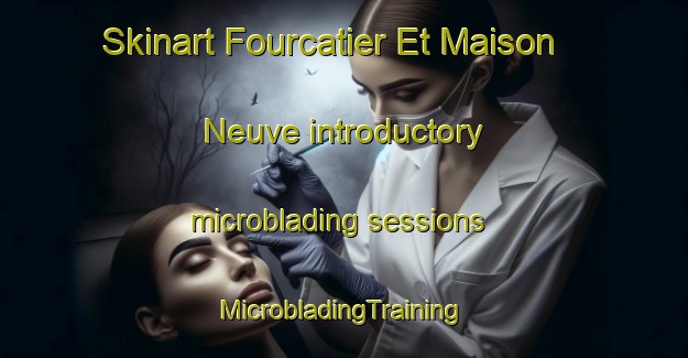 Skinart Fourcatier Et Maison Neuve introductory microblading sessions | #MicrobladingTraining #MicrobladingClasses #SkinartTraining-France