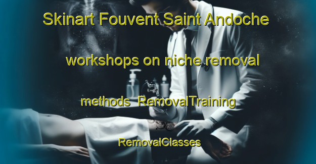 Skinart Fouvent Saint Andoche workshops on niche removal methods | RemovalTraining | RemovalClasses | SkinartTraining-France