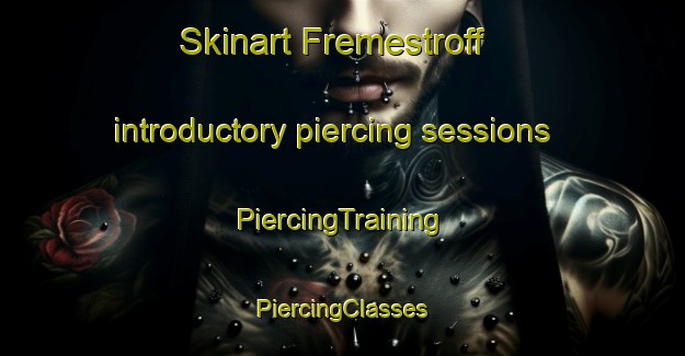 Skinart Fremestroff introductory piercing sessions | #PiercingTraining #PiercingClasses #SkinartTraining-France