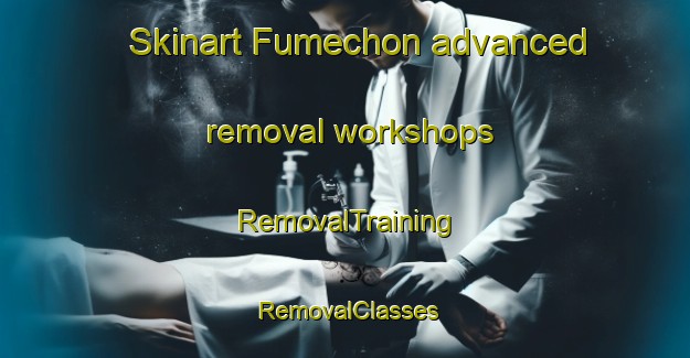 Skinart Fumechon advanced removal workshops | RemovalTraining | RemovalClasses | SkinartTraining-France