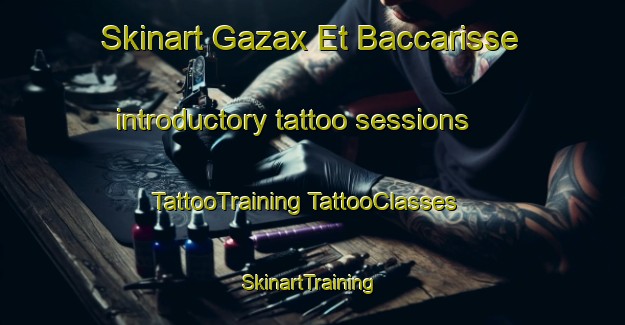 Skinart Gazax Et Baccarisse introductory tattoo sessions | #TattooTraining #TattooClasses #SkinartTraining-France