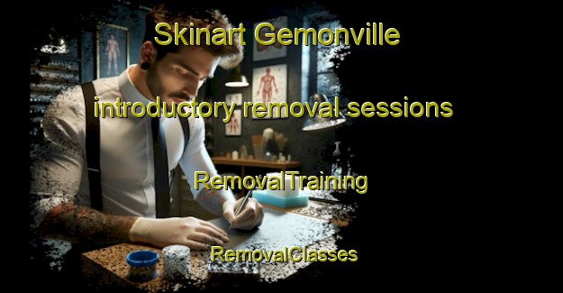 Skinart Gemonville introductory removal sessions | RemovalTraining | RemovalClasses | SkinartTraining-France